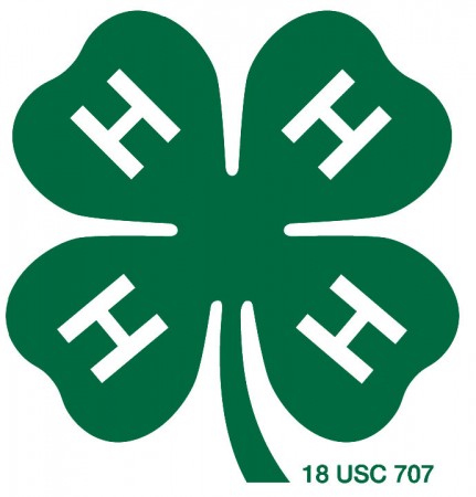 Georgia 4-H